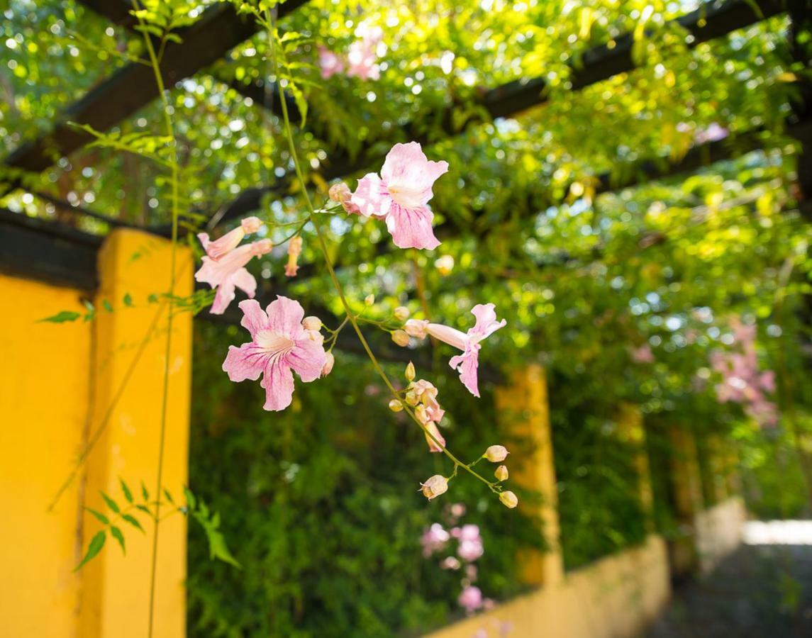 Bellasombra Suites 라스팔마스 외부 사진